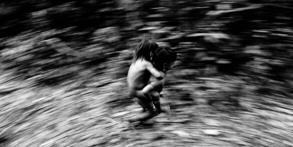 O que nos faz floresta? 2