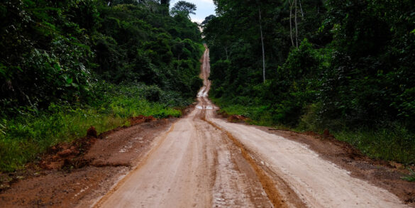 Nas veias abertas da amazônia 2