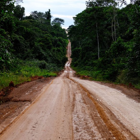 Nas veias abertas da amazônia 1