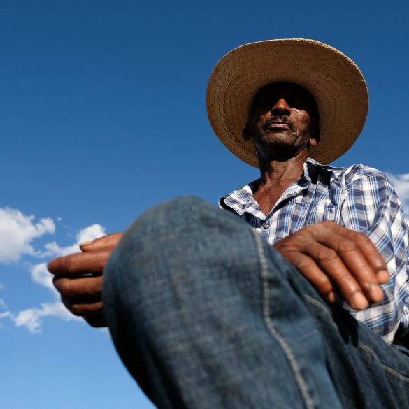 O Pantanal e Outros Bichos 1