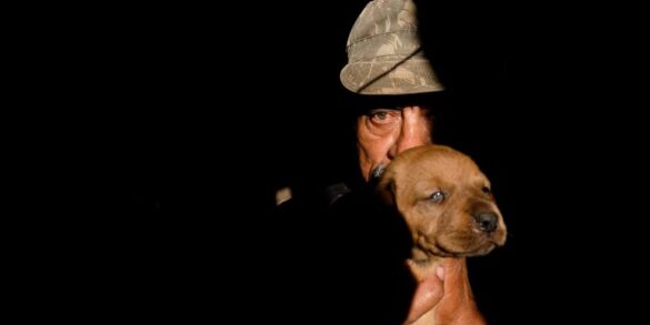 O senhor dos cães 2