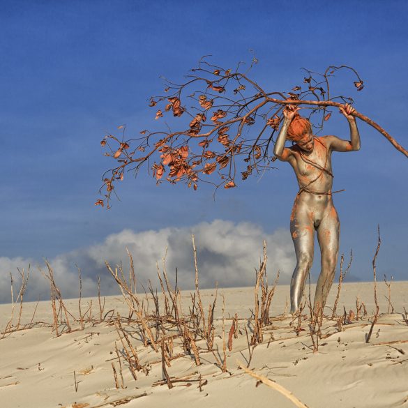 A natureza do corpo 5