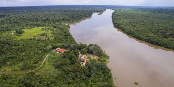 Em parceria com a NatGeo e Pulitzer: Medo e devastação nos caminhos centenários da expedição Roosevelt-Rondon 10