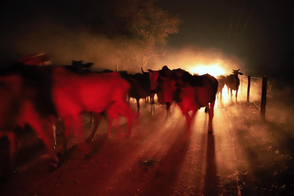 Fotógrafo Izan Petterle revela as Paisagens do Pantanal em chamas - A Lente