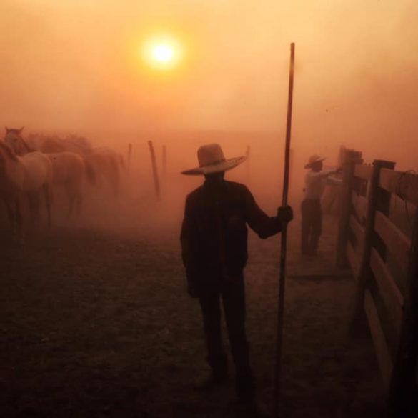 Fotógrafo Izan Petterle revela as Paisagens do Pantanal em chamas 1