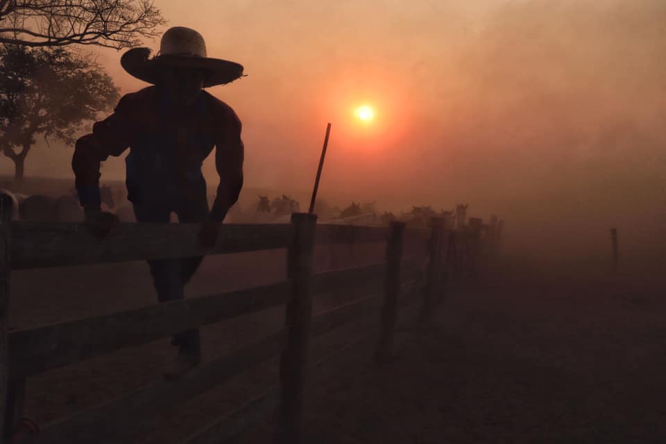 Fotógrafo Izan Petterle revela as Paisagens do Pantanal em chamas - A Lente