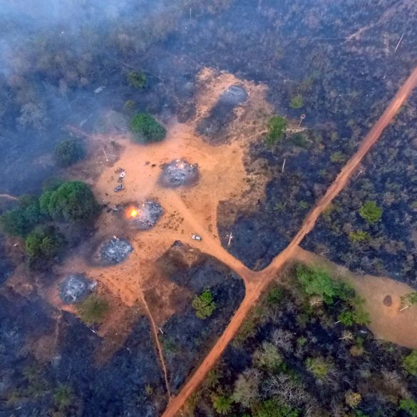 Em ano marcado por queimadas, terras indígenas foram devastadas pelo fogo 1
