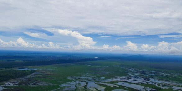 A morte da Baía de Chacororé, uma tragédia anunciada 6