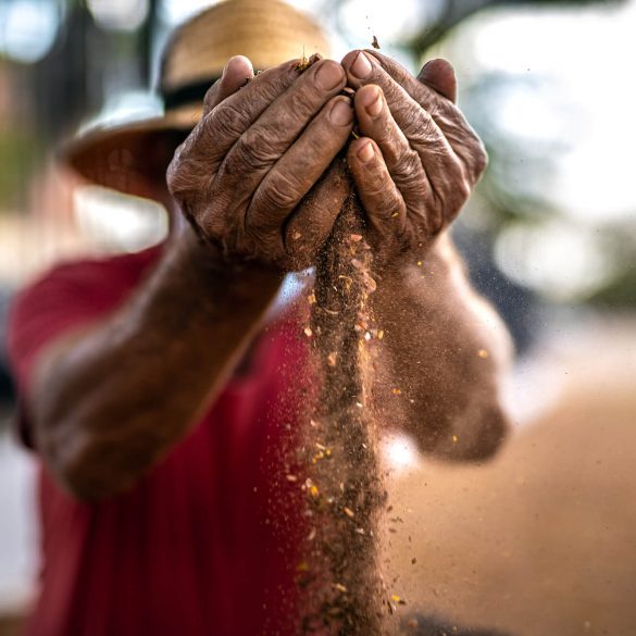 JORNADA PELA TERRA: RESISTÊNCIA CAMPONESA PELA REFORMA AGRÁRIA 9