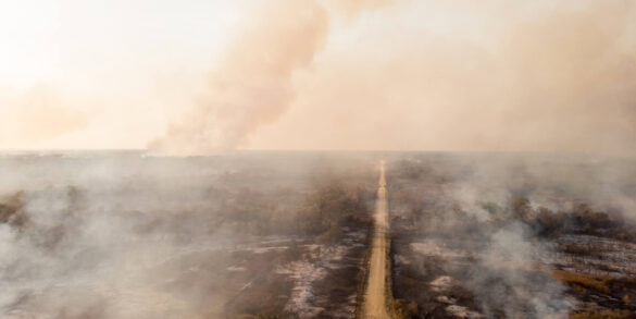 DIA DA TERRA: Mudanças climáticas atingem novo recorde, alerta relatório da ONU 1