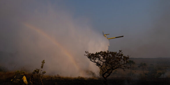 Desmatamento do Cerrado coloca em risco oferta de água em 15 municípios do Mato Grosso 2