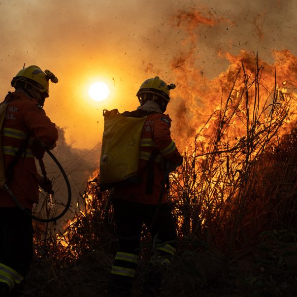 Clima de guerra no Pantanal 5