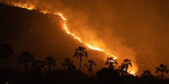 Chapada dos Veadeiros: Um paraíso em busca da redenção 2