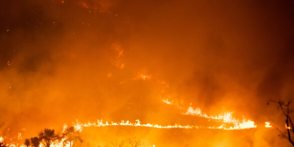 Incêndios na Amazônia: bioma concentra 90% da área queimada no Brasil no primeiro bimestre 2