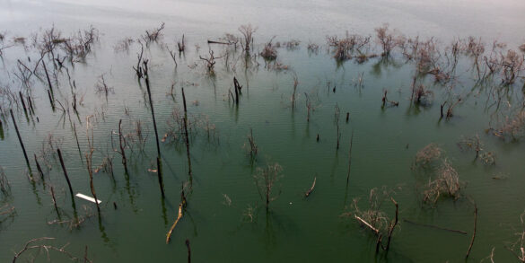 Debate sobre setor elétrico brasileiro alerta sobre impactos ambientais provocados por hidrelétricas 10
