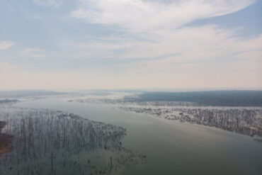 O suspiro de uma gleba na Amazônia 11