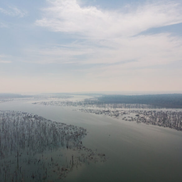 O suspiro de uma gleba na Amazônia 8