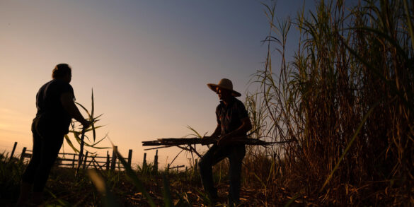 Conflitos por terra no Brasil aumentam 16,7% e atingem mais de 180 mil famílias em 2022 6