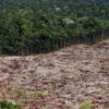 Amazônia: Fevereiro não acabou, mas já registra recorde de desmatamento para o mês desde 2015 2