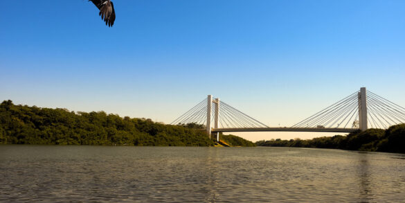 ALMT busca apoio do STF para defender lei que proíbe hidrelétricas no Rio Cuiabá 6