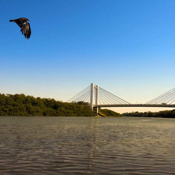 Licença prévia para construção de 6 PCHs no Rio Cuiabá é negada pela SEMA 9