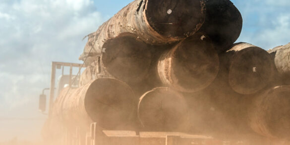Caminhão transporta troncos de árvores pela avenida principal do Distrito de Guariba. A região é dominada por madeireiras e pela retirada e comércio, legal e ilegal, de madeira. Foto: Ahmad Jarrah