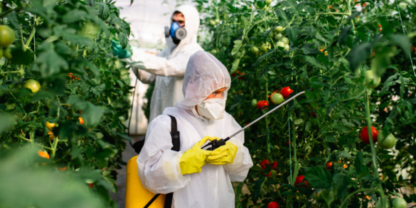 Veneno no prato: governo de Jair Bolsonaro liberou 2.182 agrotóxicos 9