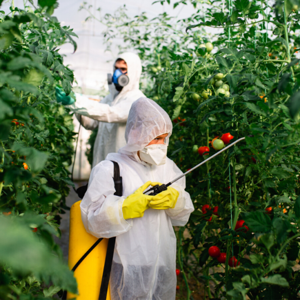 Veneno no prato: governo de Jair Bolsonaro liberou 2.182 agrotóxicos 4