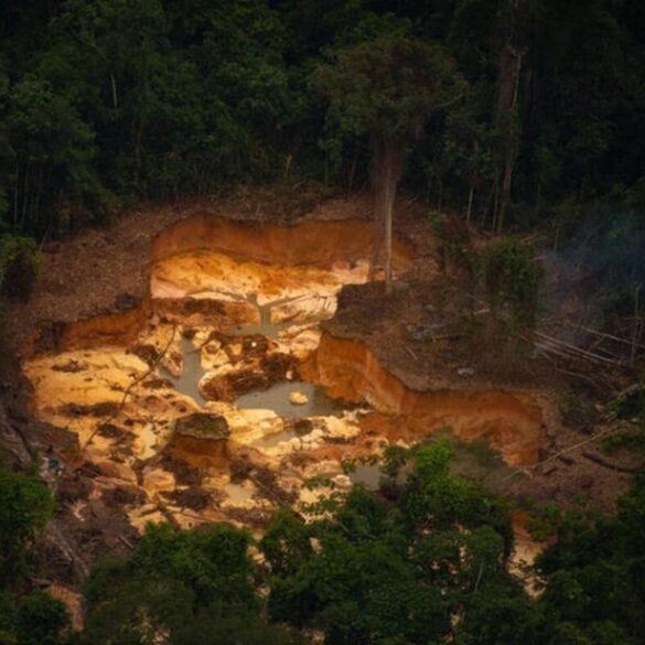 Dinamite pura: relatório aponta o legado explosivo da política mineral do governo Bolsonaro 1