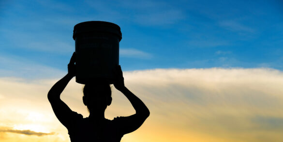 Projeto "planta água" para reverter escassez hídrica no Alto Pantanal Mato-grossense 2