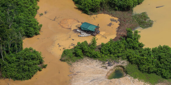 <strong>Pesquisa aponta como&nbsp;extrema-direita explora desinformação ambiental no Brasil</strong> 10