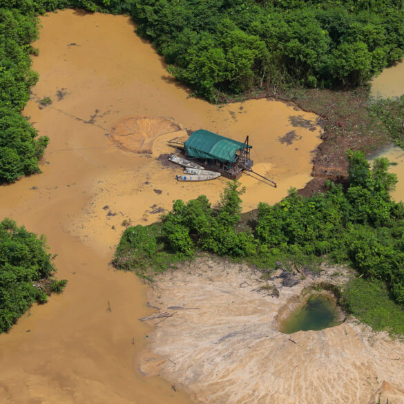 <strong>Pesquisa aponta como&nbsp;extrema-direita explora desinformação ambiental no Brasil</strong> 5
