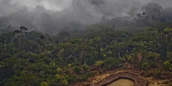 Fogo na Terra Indígena Yanomami diminui 62% no primeiro bimestre 2