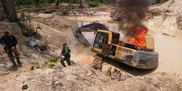 STF derruba lei de Roraima que proibia destruição de bens apreendidos em operações ambientais 2