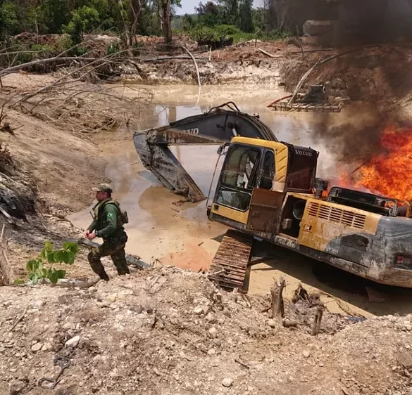 STF derruba lei de Roraima que proibia destruição de bens apreendidos em operações ambientais 5
