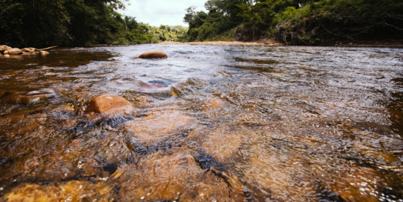 Desmatamento do Cerrado no Matopiba coloca em risco oferta de água em 373 municípios  10