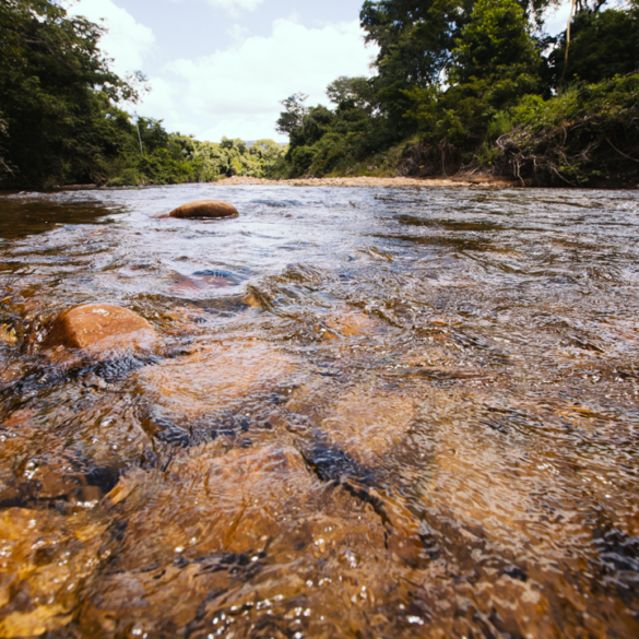 Desmatamento do Cerrado no Matopiba coloca em risco oferta de água em 373 municípios  9