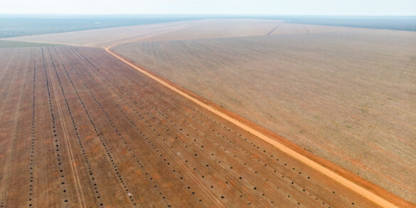 Desmatamento em terras indígenas na Amazônia emitiu 96 milhões toneladas de gás carbônico, revela estudo 6