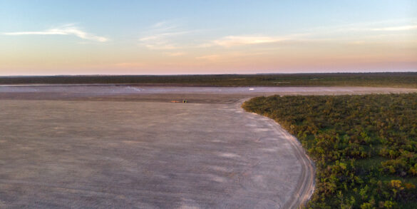 Apenas um em cada quatro hectares desmatados nos últimos quatro anos tinha autorização ou foi fiscalizado, aponta MapBiomas 10