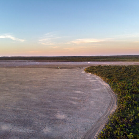 Apenas um em cada quatro hectares desmatados nos últimos quatro anos tinha autorização ou foi fiscalizado, aponta MapBiomas 5