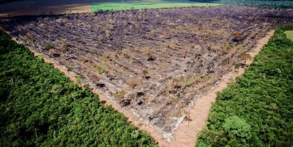 Desmatamento na Amazônia triplica em março e faz trimestre fechar como o 2º pior em 16 anos 2