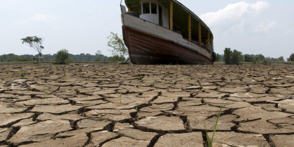 Estudo identifica regiões da Floresta Amazônica mais vulneráveis a mudanças climáticas 10