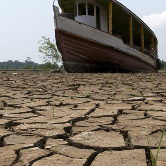 Estudo identifica regiões da Floresta Amazônica mais vulneráveis a mudanças climáticas 9