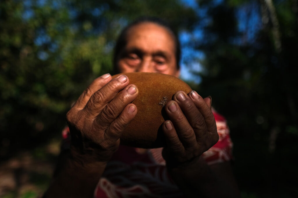 Mineradoras devoram a Amazônia enquanto a COP30 promete salvar 15