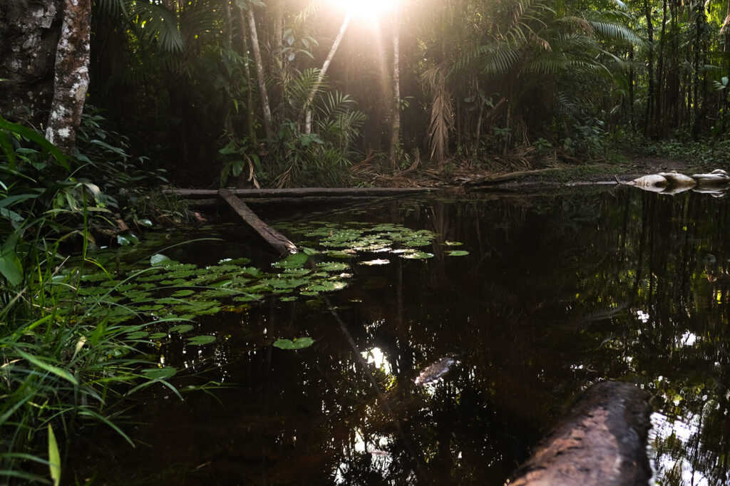 Mineradoras devoram a Amazônia enquanto a COP30 promete salvar 7