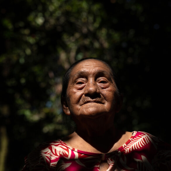 Mineradoras devoram a Amazônia enquanto a COP30 promete salvar 1