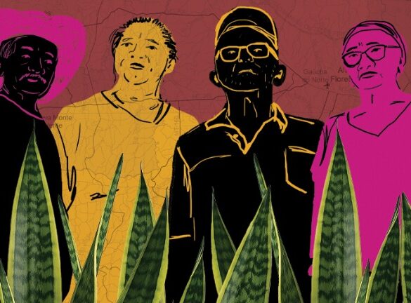 Entre a floresta e o garimpo: quilombolas de Mato Grosso resistem sem terras tituladas 14